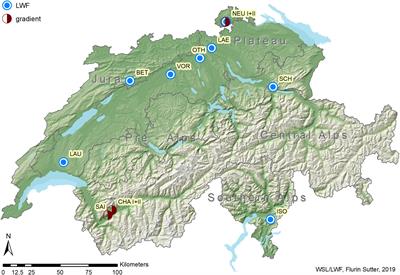 Leaf Morphological Traits and Leaf Nutrient Concentrations of European Beech Across a Water Availability Gradient in Switzerland